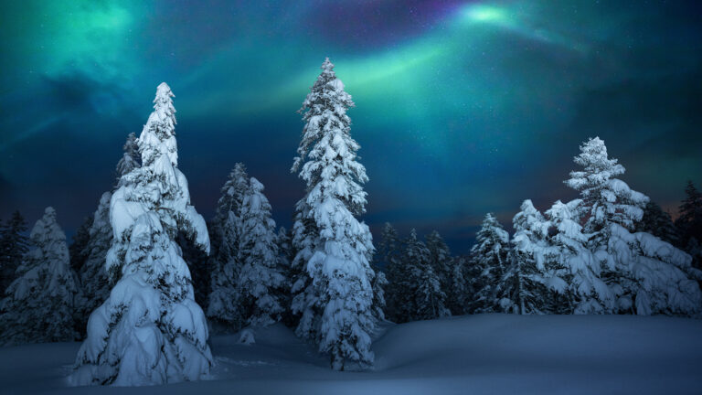 winter_snow_nothern_lights