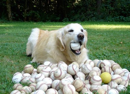 Ripley and his baseballs