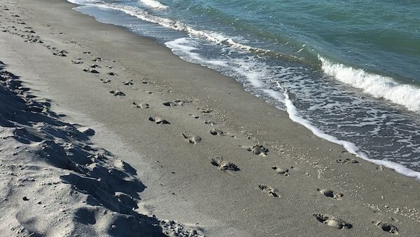 Diana Aydin prays for a blessed 2016 while looking at footprints on the beach in Florida.