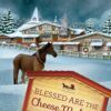 Blessed Are the Cheese Makers - Sugarcreek Amish Mysteries - Book 17 - EPDF-0