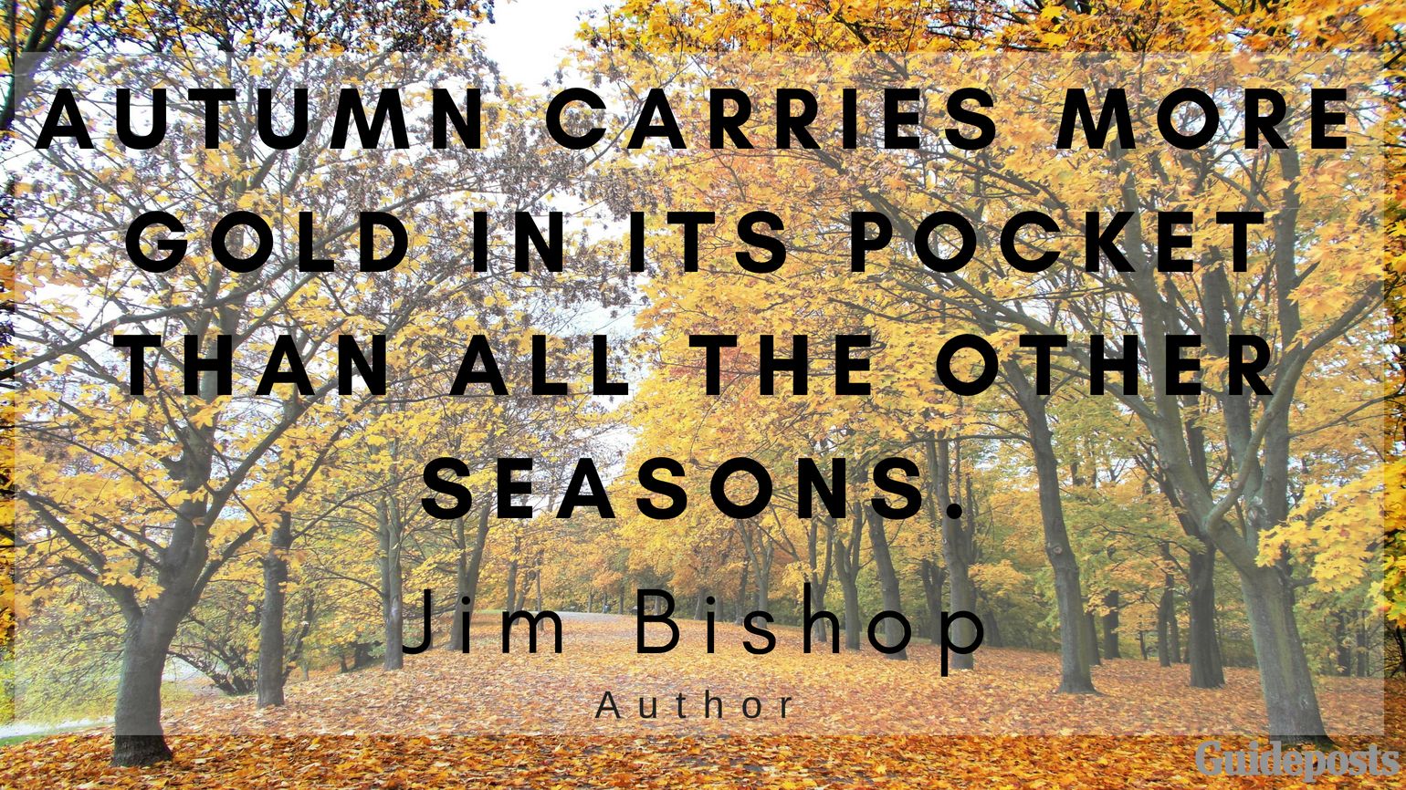 Autumn carries more gold in its pocket than all the other seasons. —Jim Bishop