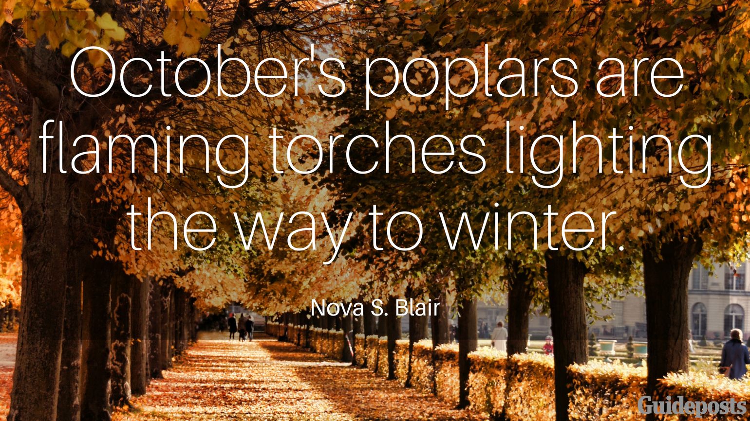 October's poplars are flaming torches lighting the way to winter. —Nova S. Blair