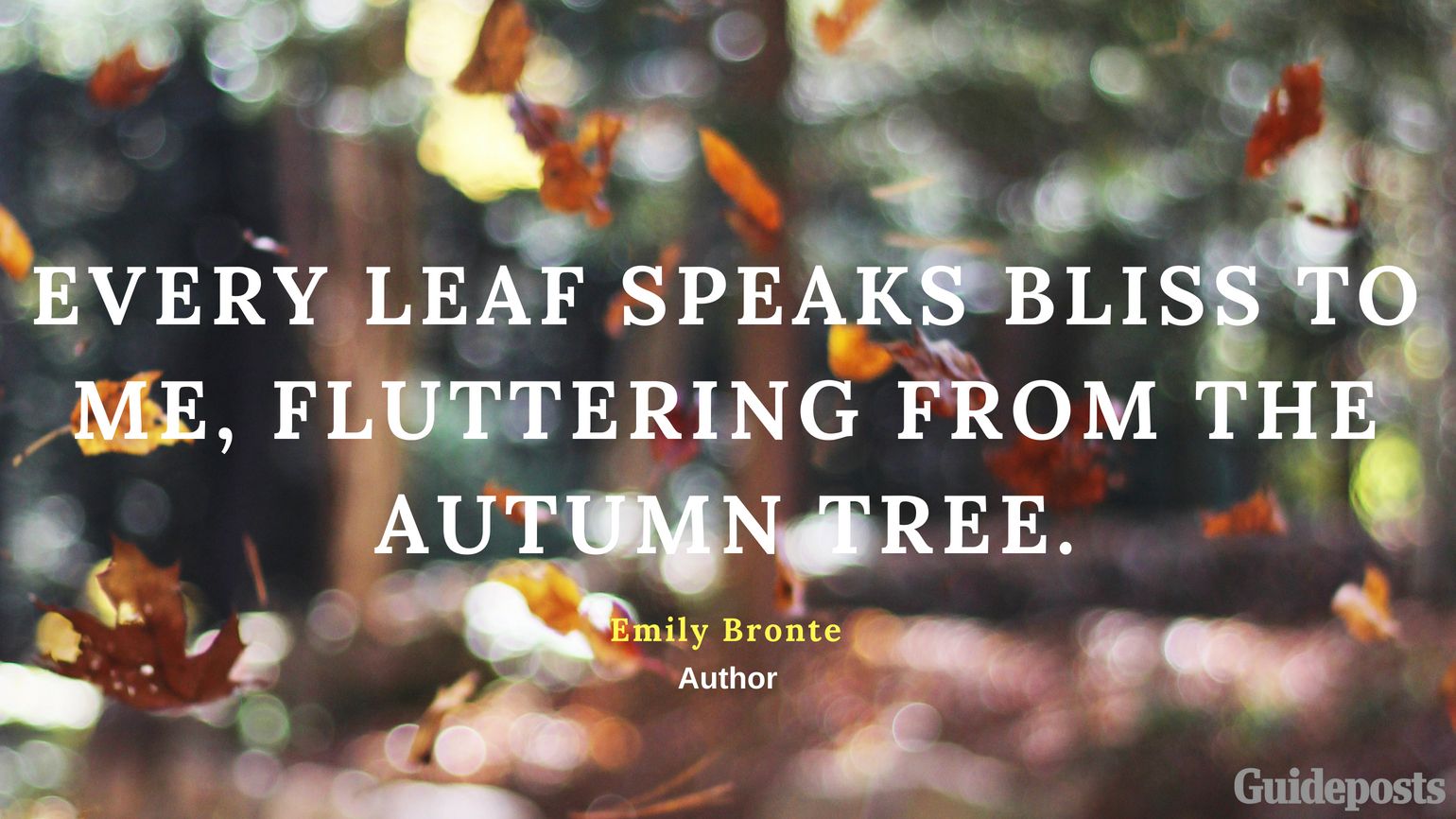 Every leaf speaks bliss to me, fluttering from the autumn tree. —Emily Bronte