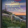 Sheeps Passing In The Night - Mysteries of Martha's Vineyard - Book 20-9046