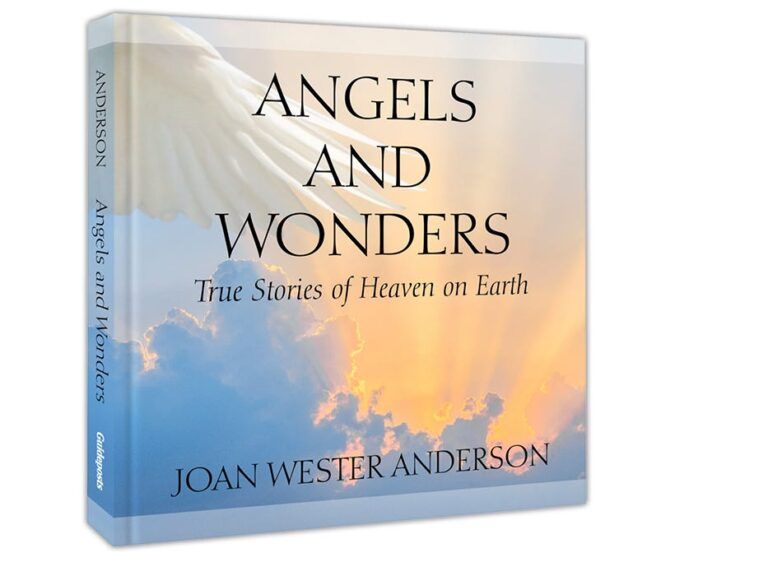 Angels And Wonders & Where Miracles Happen-7217