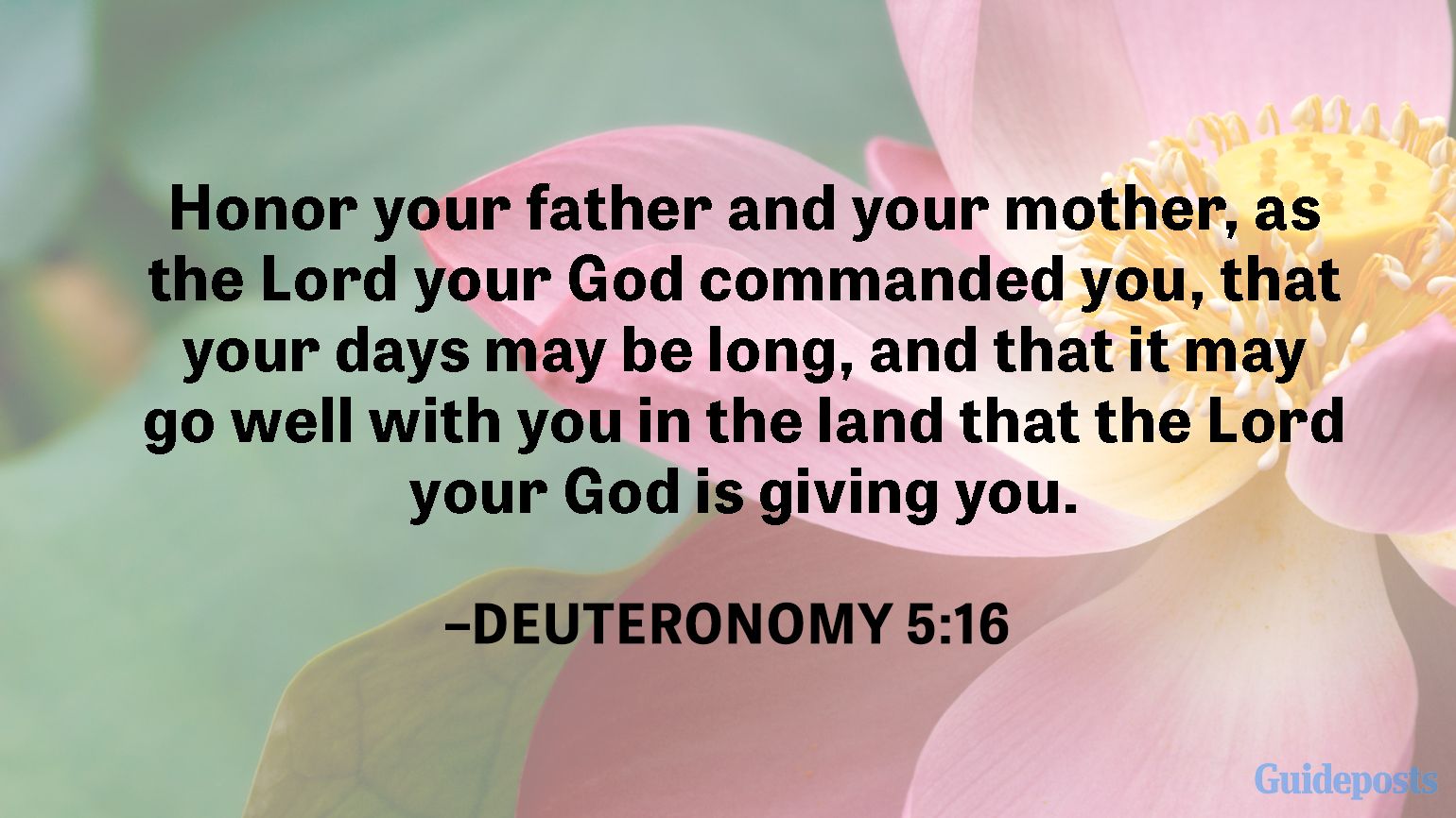 Honor your father and your mother, as the Lord your God commanded you, that your days may be long, and that it may go well with you in the land that the Lord your God is giving you.  —Deuteronomy 5:16