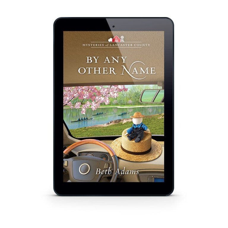 Mysteries of Lancaster County Book 12: By Any Other Name-7348