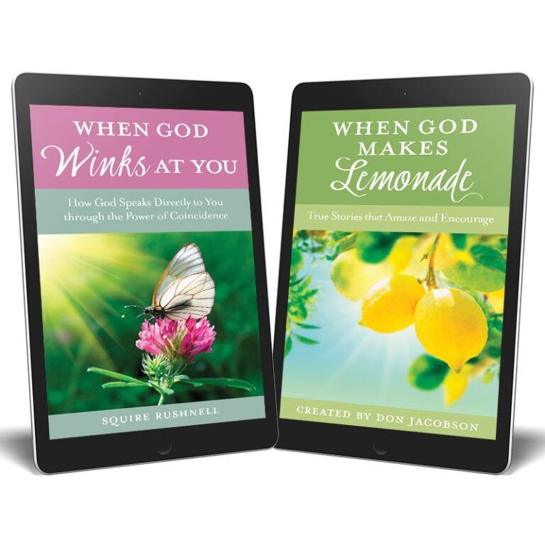 When God Winks & When God Makes Lemonade-8956