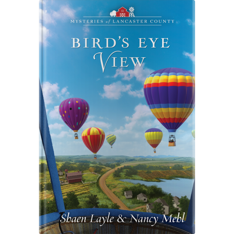 Mysteries of Lancaster County Book 18: Birds Eye View-0