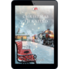 Mysteries of Lancaster County Book 21: Christmas Derailed - ePUB-0