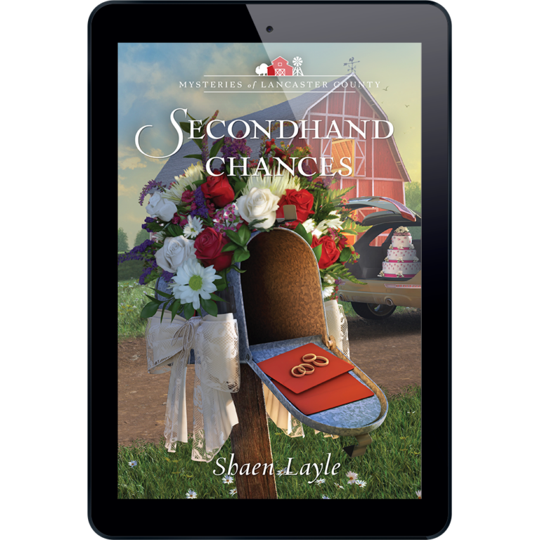 Mysteries of Lancaster County Book 25: Secondhand Chances-10927