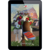Mysteries of Lancaster County Book 25: Secondhand Chances - ePUB-0
