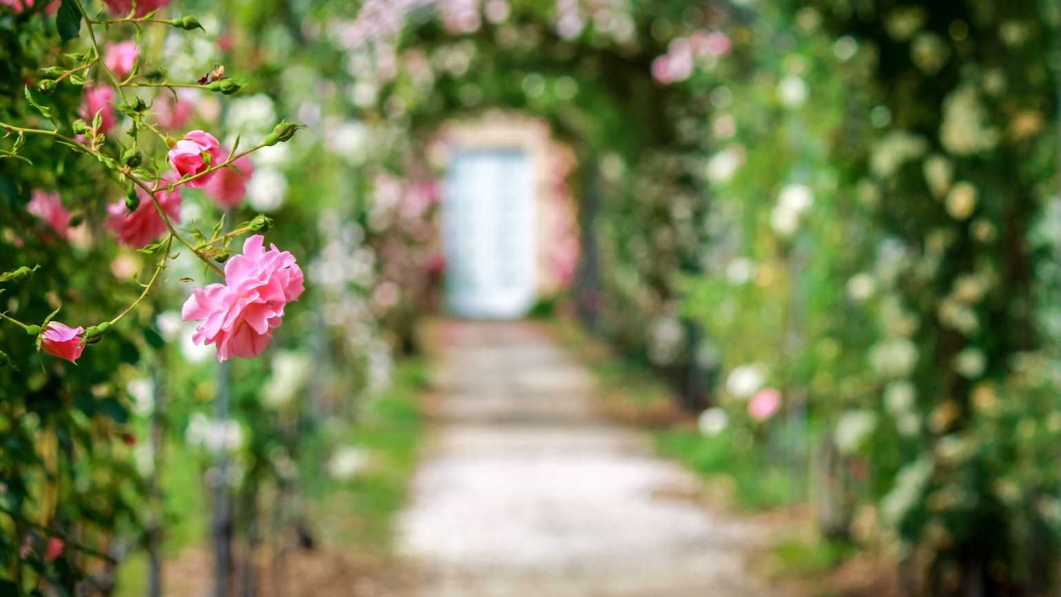 A garden labyrinth; Getty Images