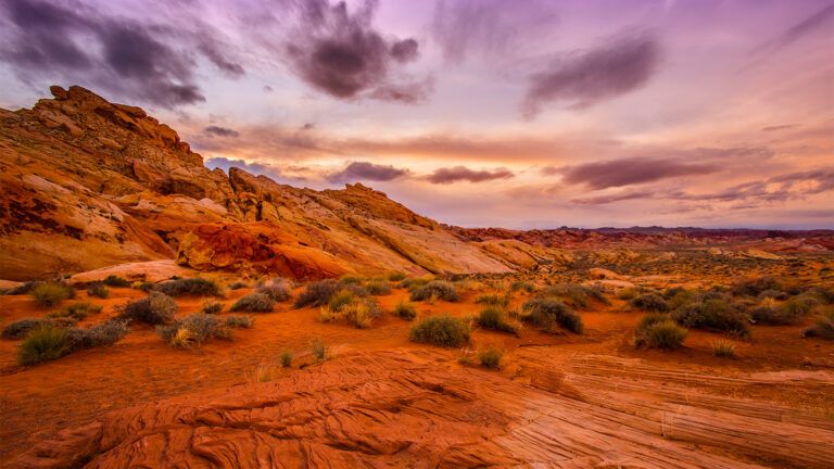 Desert at sunrise