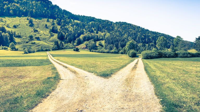 A fork in the road