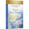 Witnessing Heaven Book 6: Scenes from Heaven-13962