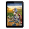 Extraordinary Women of the Bible Book 15 - The Shadow Song: Mahlah & Noah's Story- ePDF-0
